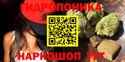 соль ск Обь