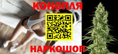 шишки Обнинск