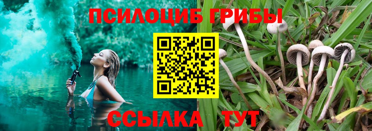 цена наркотик  Вход с VPN  Урай  Псилоцибиновые грибы Cubensis 