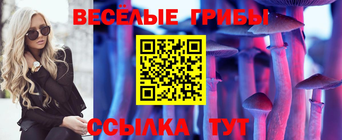 Псилоцибиновые грибы Cubensis Урай